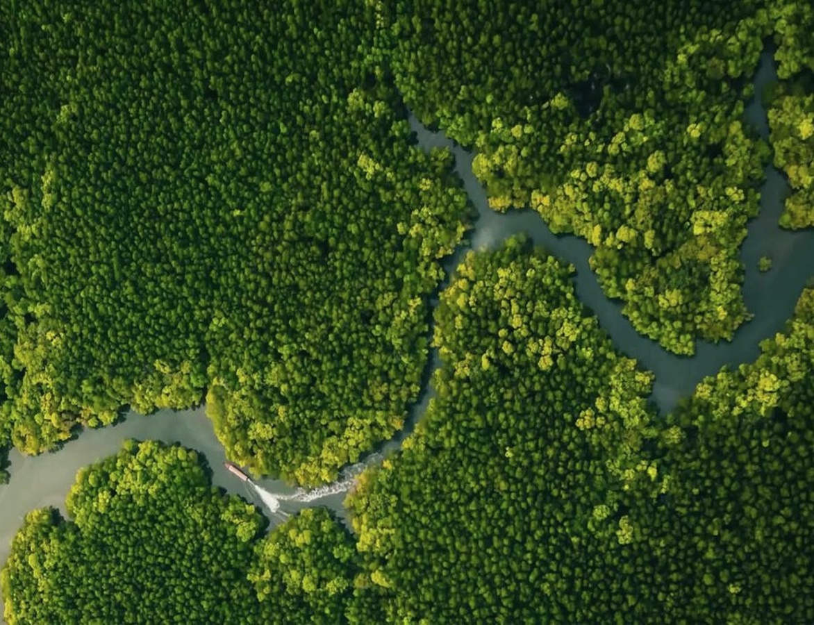 云南植物原料来源与林地水系